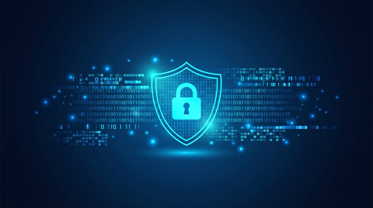 加速器河马隐私安全保护